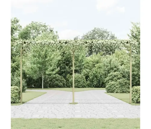 Sodo Pergolė, 410X40X203cm Mediena