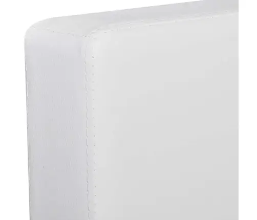 3 Istekohaga Nurgadiivan, Kunstnahast, Valge