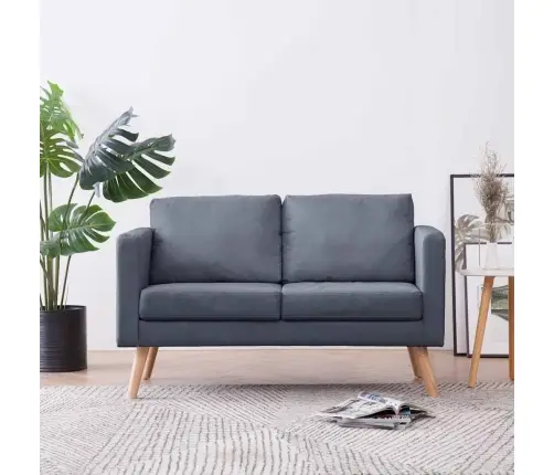 Dīvāns, Divvietīgs, Tumši Pelēks Audums  Vidaxl