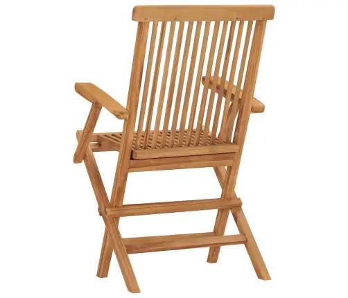 Sulankstomos Sodo Kėdės, 2 Vnt., Tikmedis