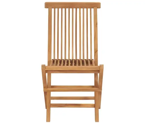 Saliekami Dārza Krēsli, 2 Gab., Masīvs Tīkkoks Vidaxl