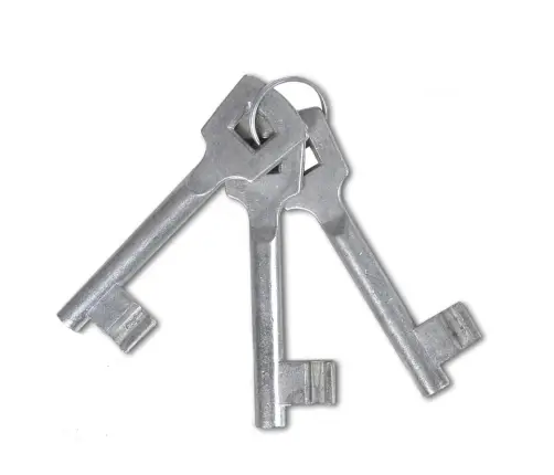 Tvoros Vartai, Vienvėriai, 100X100 cm Milteliniu Būdu Dažytas Plienas