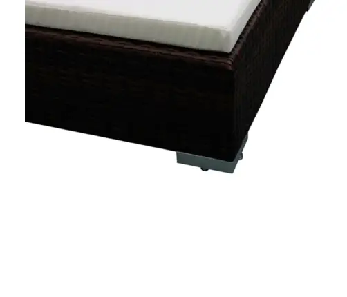 6-Daļīgs Dārza Atpūtas Mēbeļu Komplekts, Brūna Pe Rotangpalma Vidaxl