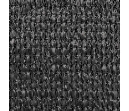 Balkona Aizslietnis, 90X600 Cm, Antracītpelēks Hdpe Vidaxl