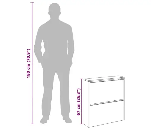 Vidaxli 2 Sahtli Ja Peegliga Kingakapp 63 X 17 X 67 Cm Tammevärvi