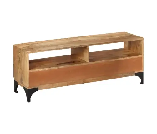 Tv Statīvs, 120X35X45 Cm, Mango Koks Vidaxl