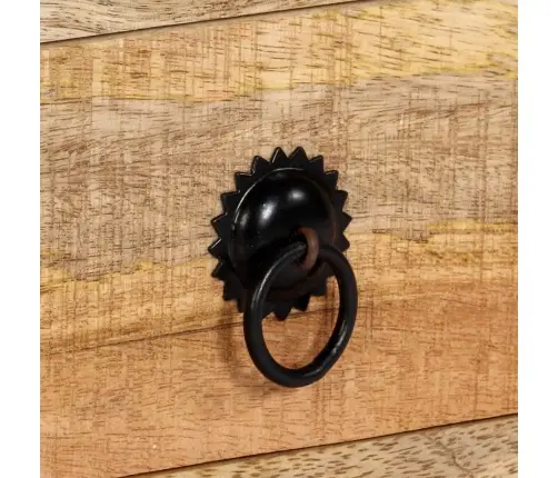 Tv Skapītis, 120X30X40 Cm, Mango Masīvkoks Vidaxl