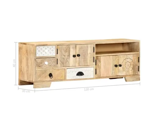 Tv Skapītis, 120X30X40 Cm, Mango Masīvkoks Vidaxl