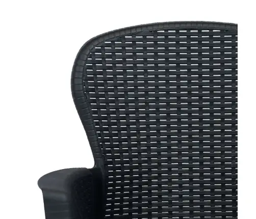 Dārza Krēsli Ar Spilvenu, 2 Gab., Pelēki, Plastmasas Pinums Vidaxl