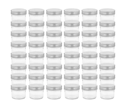 Ievārījuma Burciņas, Sudraba Krāsas Vāciņi, 48 Gab., 110 Ml Vidaxl