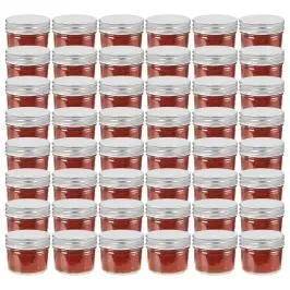 Ievārījuma Burciņas, Sudraba Krāsas Vāciņi, 48 Gab., 110 Ml Vidaxl