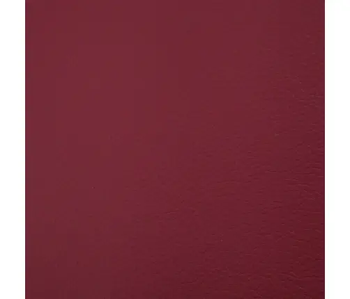 Panipaigaga Pink 116 cm Veinipunane, Kunstnahk