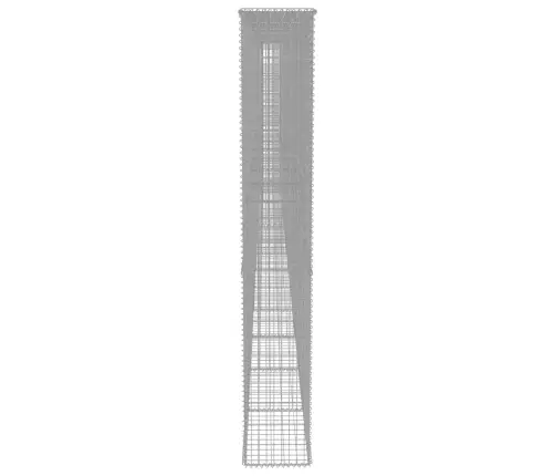 Gabiono Siena Su Dang., Galvanizuotas Plienas, 900X50X200Cm