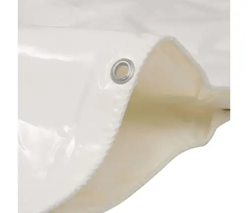 Brezenta Pārklājs, 650 G/M², 5X6 M, Balts Vidaxl
