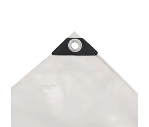 Brezenta Pārklājs, 650 G/M², 5X6 M, Balts Vidaxl