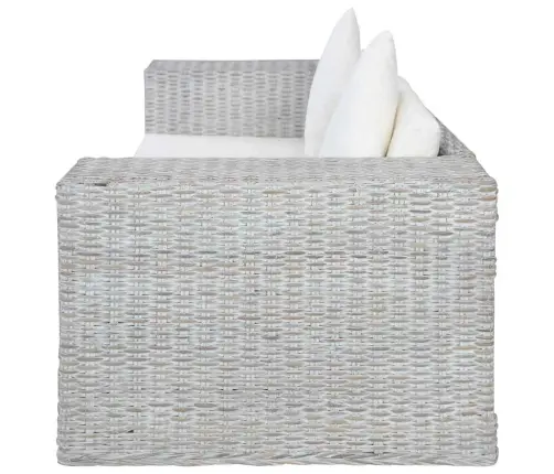 Divvietīgs Dīvāns Ar Matračiem, Pelēka Dabīgā Rotangpalma Vidaxl