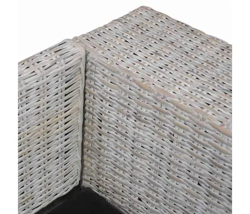 Divvietīgs Dīvāns Ar Matračiem, Pelēka Dabīgā Rotangpalma Vidaxl