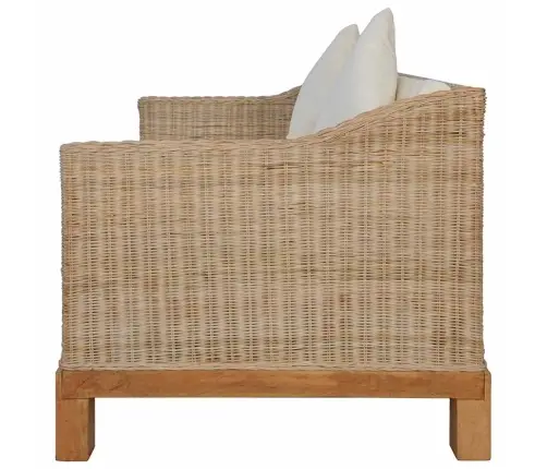 Divvietīgs Dīvāns Ar Matračiem, Dabīga Rotangpalma Vidaxl