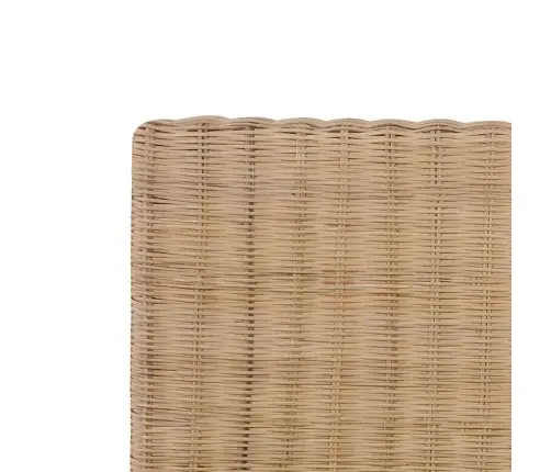 Gultas Rāmis, Pīts, Dabīga Rotangpalma, 160X200 Cm Vidaxl