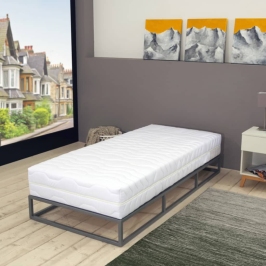 Matracis Ar 7 Zonām, 120X200 Cm, Atsperu Spoles, 20 Cm, H2  Vidaxl