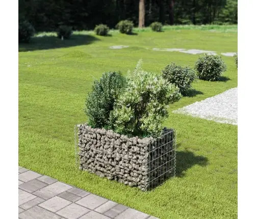 Gabiono Vazonas, Galvanizuotas Plienas, 90X50X50cm Aukštas