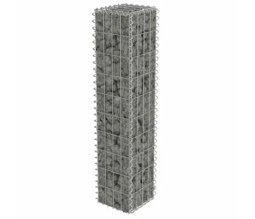 Gabions Ar Vāku, Cinkots Tērauds, 20X20X100 Cm Vidaxl