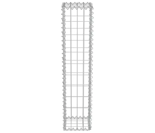 Gabions Ar Vāku, Cinkots Tērauds, 20X20X100 Cm Vidaxl