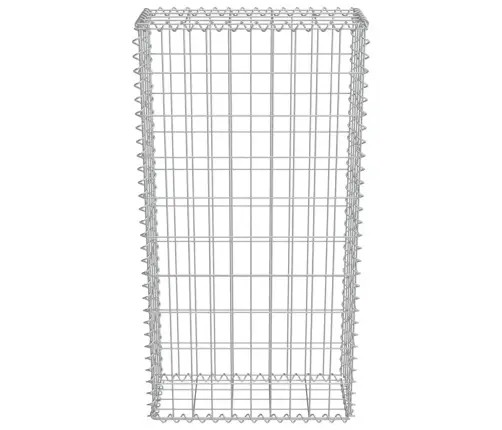 Gabions Ar Vāku, Cinkots Tērauds, 50X20X100 Cm Vidaxl