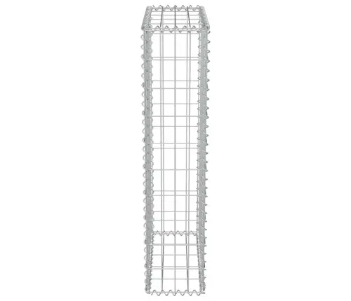 Gabions Ar Vāku, Cinkots Tērauds, 50X20X100 Cm Vidaxl