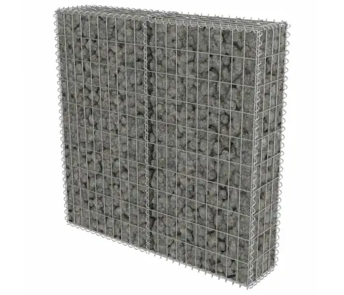 Gabions Ar Vāku, Cinkots Tērauds, 100X20X100 Cm Vidaxl