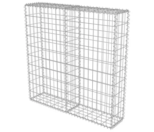 Gabions Ar Vāku, Cinkots Tērauds, 100X20X100 Cm Vidaxl