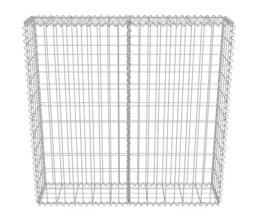 Gabions Ar Vāku, Cinkots Tērauds, 100X20X100 Cm Vidaxl