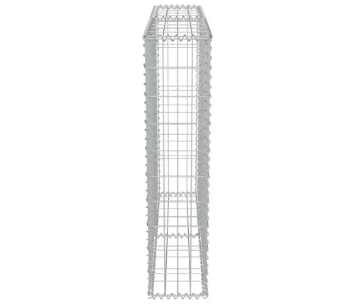 Gabions Ar Vāku, Cinkots Tērauds, 100X20X100 Cm Vidaxl