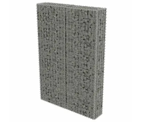 Gabions Ar Vāku, Cinkots Tērauds, 100X20X150 Cm Vidaxl