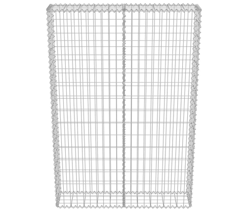 Gabions Ar Vāku, Cinkots Tērauds, 100X20X150 Cm Vidaxl