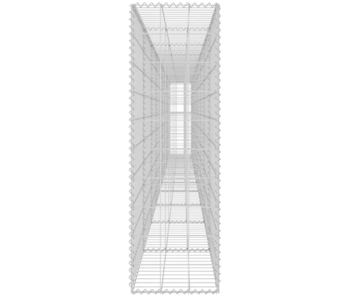 Gabions Ar Vāku, Cinkots Tērauds, 600X30X100 Cm Vidaxl