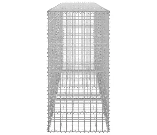 Gabions Ar Vāku, Cinkots Tērauds, 300X50X100 Cm Vidaxl