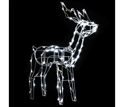 Jõulutuled Põhjapõtradega 229 Lediga