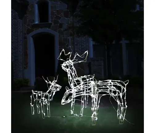 Jõulutuled Põhjapõtradega 229 Lediga