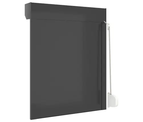 Ruļļu Slēģis, 80X100 Cm, Alumīnijs, Antracītpelēks Vidaxl