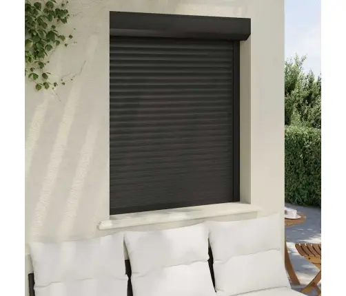 Ruļļu Slēģis, 100X120 Cm, Alumīnijs, Antracītpelēks Vidaxl