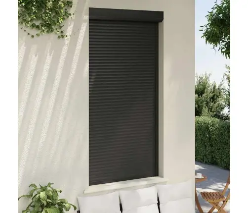 Ruļļu Slēģis, 110X220 Cm, Alumīnijs, Antracītpelēks Vidaxl