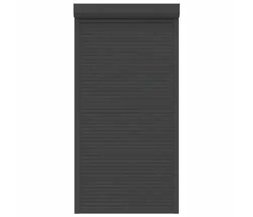 Ruļļu Slēģis, 110X220 Cm, Alumīnijs, Antracītpelēks Vidaxl