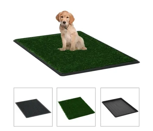 Lemmiklooma Tualetid 2 Tk, Alus, Roheline Kunstmuru 76X51X3 Cm