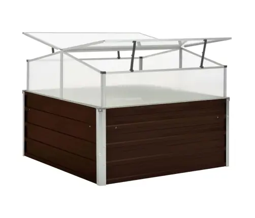 Kasvuhoone Pruun 100 X 100 X 85 cm Tsingitud Teras