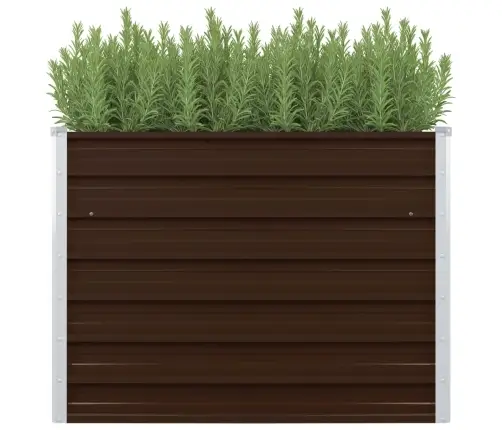 Augstā Puķu Kaste, 100X100X77 Cm, Cinkots Tērauds, Brūna Vidaxl