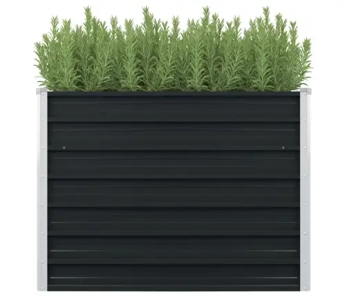 Kõrgendatud Peenrakast Antratsiit 100X100X77 Cm Tsingitud Teras