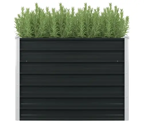 Kõrgendatud Peenrakast Antratsiit 100X100X77 Cm Tsingitud Teras