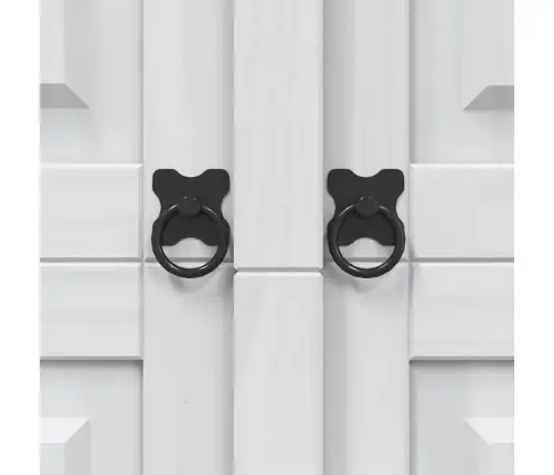 Drabužių Spinta, Balta, Meksikinė Pušis, Corona, 2 Durų