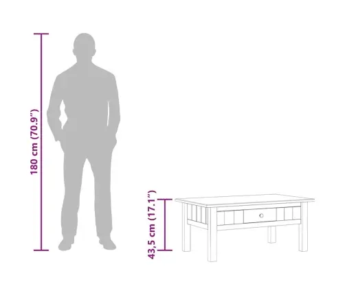 Kohvilaud, Hall, 100 X 60 X 43,5 cm Männipuit, Panama Sari